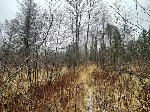 V/l 25a Juniper, Grayling, MI 49738 photo 3