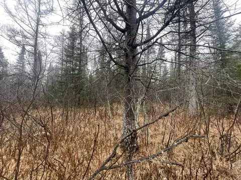 V/l 25a Juniper, Grayling, MI 49738 photo 7