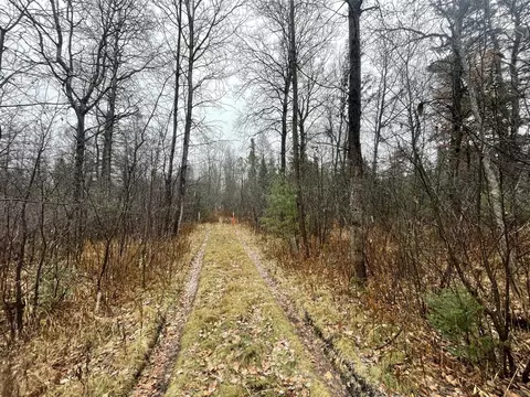 V/l 25a Juniper, Grayling, MI 49738 photo 2