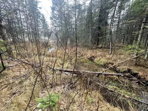 V/l 25a Juniper, Grayling, MI 49738 photo 14