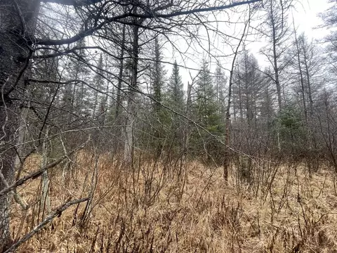 V/l 25a Juniper, Grayling, MI 49738 photo 13