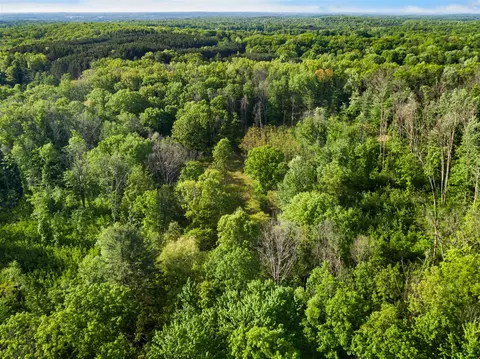 V/l 12 Mile, Big Rapids, MI 49307 photo 11