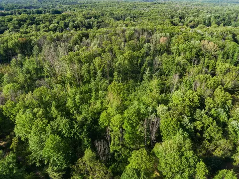 V/l 12 Mile, Big Rapids, MI 49307 photo 10
