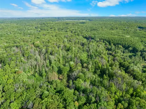 V/l 12 Mile, Big Rapids, MI 49307 photo 12