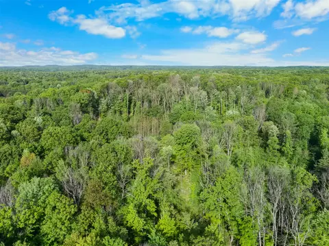 V/l 12 Mile, Big Rapids, MI 49307 photo 13
