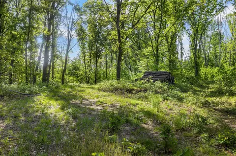 V/l 12 Mile, Big Rapids, MI 49307 photo 3