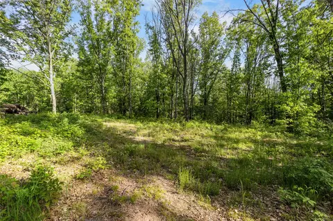 V/l 12 Mile, Big Rapids, MI 49307 photo 4