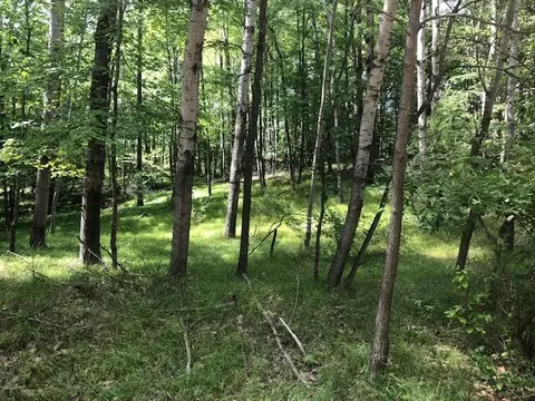 11992 Cheyenne Wls, Canadian Lakes, MI 49346