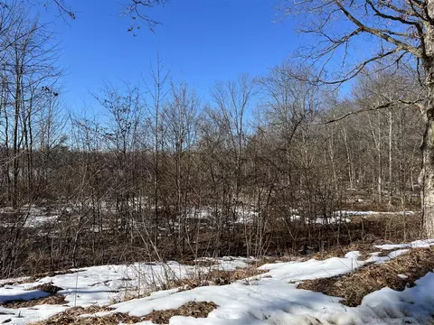 1 Terry # A, Lakeview, MI 48850