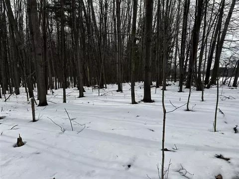 10280 W Remus, Remus, MI 49340 photo 3