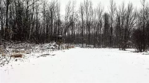 Vl 44th St, Paw Paw, MI 49079