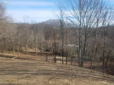 1456 111th, Otsego, MI 49078