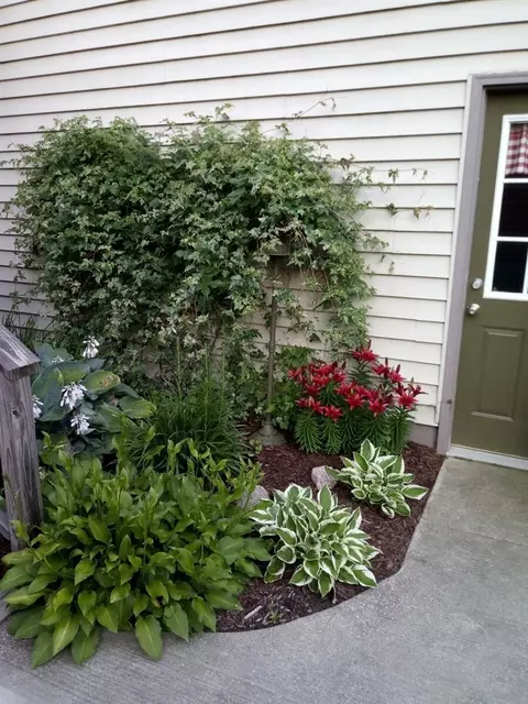 Exterior - 3630 E Baker, Hesperia, MI 49421 photo 6 of 20
