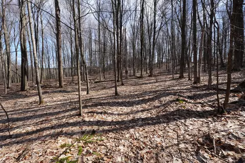 3551 S 5 12, Harrietta, MI 49638 photo 15
