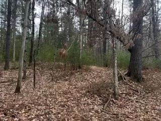 Vl S Crossover Trail, Baldwin, MI 49304 photo 48