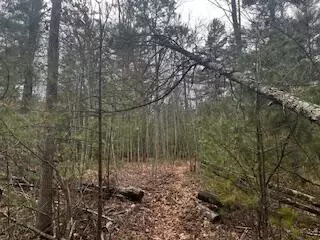 Vl S Crossover Trail, Baldwin, MI 49304 photo 8