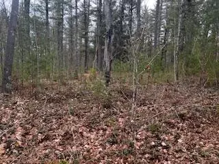 Vl S Crossover Trail, Baldwin, MI 49304 photo 13