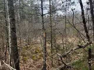 Vl S Crossover Trail, Baldwin, MI 49304 photo 7