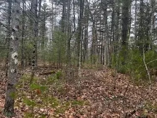 Vl S Crossover Trail, Baldwin, MI 49304 photo 22