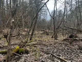 Vl S Crossover Trail, Baldwin, MI 49304 photo 38