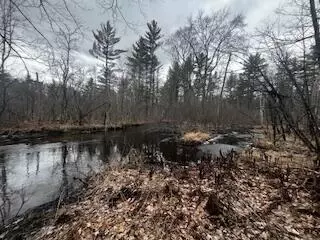 Vl S Crossover Trail, Baldwin, MI 49304 photo 46