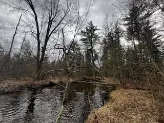 Vl S Crossover Trail, Baldwin, MI 49304 photo 36