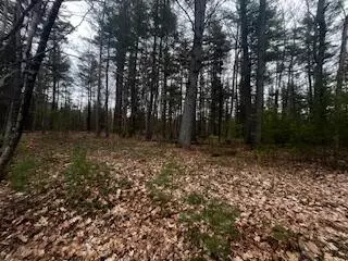 Vl S Crossover Trail, Baldwin, MI 49304 photo 47