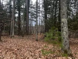 Vl S Crossover Trail, Baldwin, MI 49304 photo 32