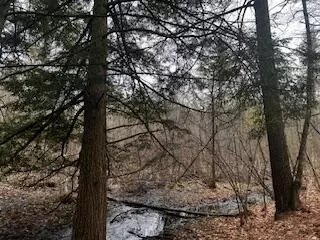 Vl S Crossover Trail, Baldwin, MI 49304 photo 17