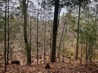 Vl S Crossover Trail, Baldwin, MI 49304 photo 10