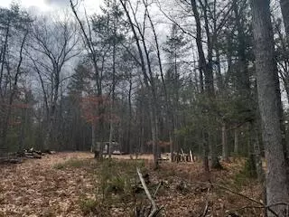 Vl S Crossover Trail, Baldwin, MI 49304 photo 4