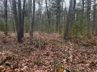 Vl S Crossover Trail, Baldwin, MI 49304 photo 15