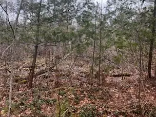 Vl S Crossover Trail, Baldwin, MI 49304 photo 12