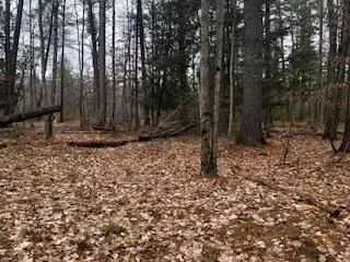 Vl S Crossover Trail, Baldwin, MI 49304 photo 42