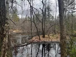 Vl S Crossover Trail, Baldwin, MI 49304 photo 19