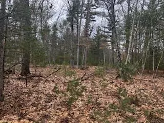 Vl S Crossover Trail, Baldwin, MI 49304 photo 2