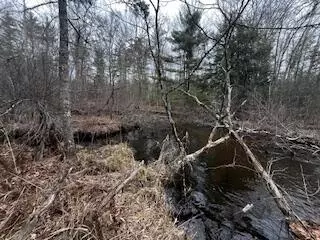 Vl S Crossover Trail, Baldwin, MI 49304 photo 35
