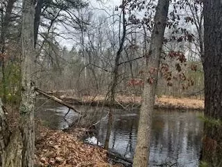 Vl S Crossover Trail, Baldwin, MI 49304 photo 18