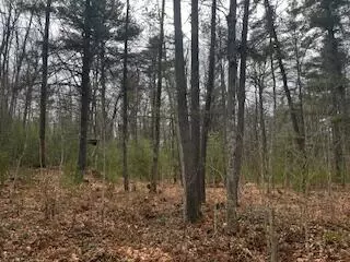 Vl S Crossover Trail, Baldwin, MI 49304 photo 14