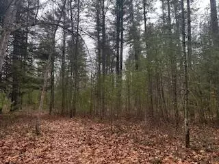 Vl S Crossover Trail, Baldwin, MI 49304 photo 23