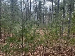 Vl S Crossover Trail, Baldwin, MI 49304 photo 9