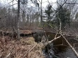 Vl S Crossover Trail, Baldwin, MI 49304 photo 37