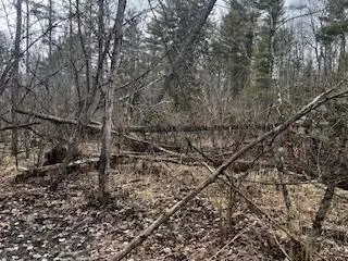 Vl S Crossover Trail, Baldwin, MI 49304 photo 40