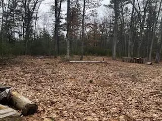 Vl S Crossover Trail, Baldwin, MI 49304 photo 51