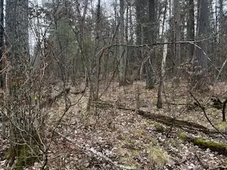 Vl S Crossover Trail, Baldwin, MI 49304 photo 39