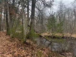 Vl S Crossover Trail, Baldwin, MI 49304 photo 20