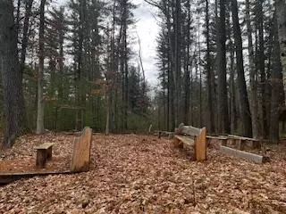 Vl S Crossover Trail, Baldwin, MI 49304 photo 33