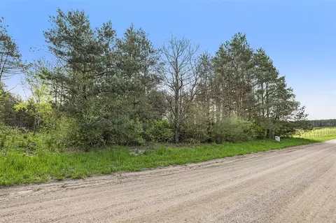 17122 Larsen, Gowen, MI 49326