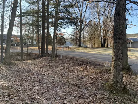 9740 Fawn Ridge Rd, Canadian Lakes, MI 49346