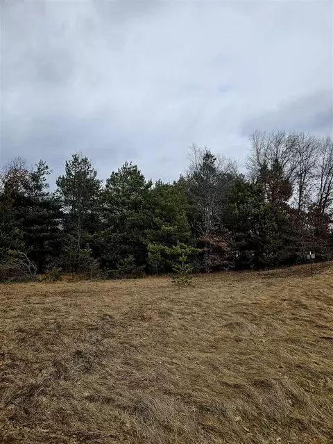 12622 5 Mile Rd, Evart, MI 49631 photo 12